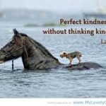 lao tzu perfect kindness